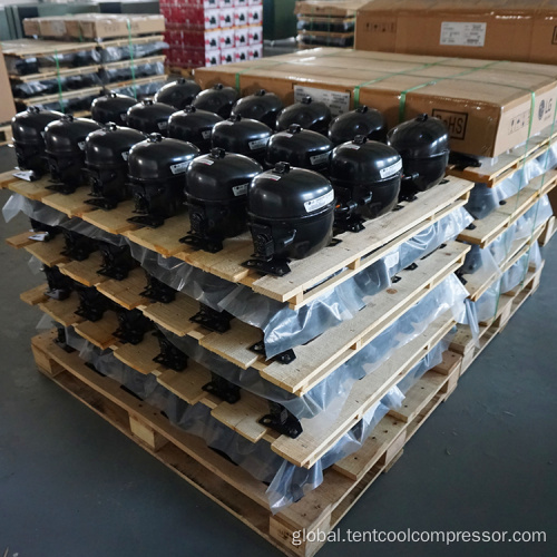 China LG R134a R600a Refrigeration Compressor for sales Factory